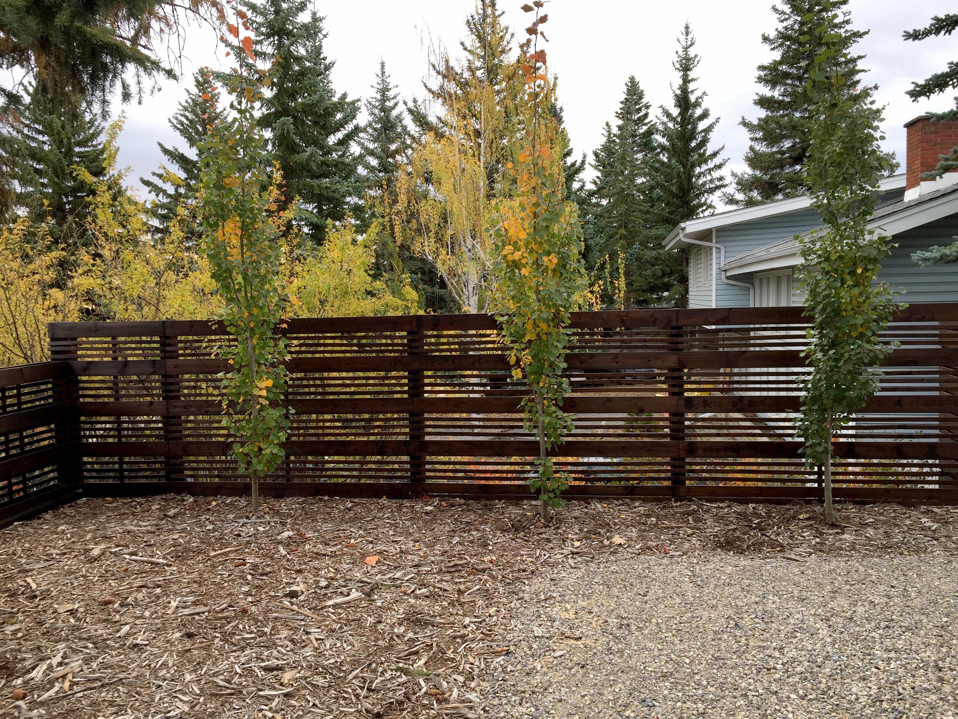 Cutek Deck Stain Case Study by Brooke & Kevin in Calgary.